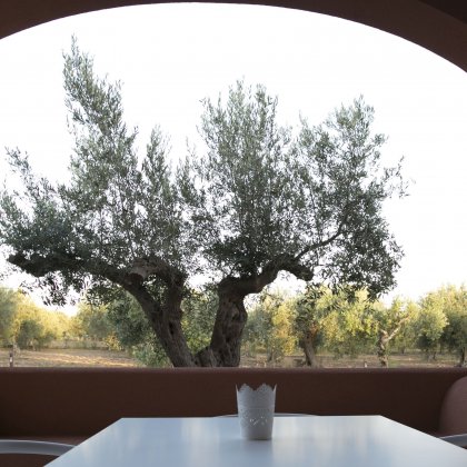 Appartamento STANDARD con VERANDINA